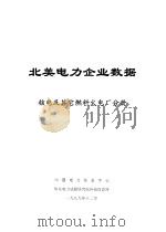 北美电力企业数据  核电及其它燃料火电厂分册   1999  PDF电子版封面    中国电力信息中心，华东电力试验研究院科技信息所 