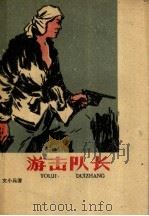 游击队长   1960  PDF电子版封面  10088·378  文小兵著 