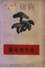 蘑菇和草菇   1957  PDF电子版封面  16119·80  陈梅朋编著 