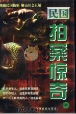 民国拍案惊奇  下   1997  PDF电子版封面  7104008799  徐峰主编；汪后觉副主编；肖志华文史顾问 