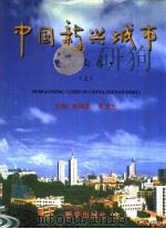 中国新兴城市  中英文本  河南卷（1999 PDF版）