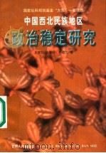 中国西北民族地区政治稳定研究   1998  PDF电子版封面  7226018888  王宗礼等著 