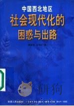 中国西北地区社会现代化的困惑与出路   1998  PDF电子版封面  722601887X  贾应生，王宗礼著 