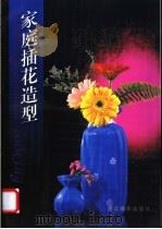 家庭插花造型   1995  PDF电子版封面  7805363455  蔡俊清，陈跃春著；侯福梁，侯福明摄 