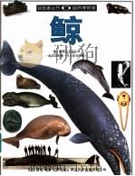 鲸  图集（1995 PDF版）