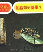 儿童自然生活百科  9  昆虫如何筑巢   1979  PDF电子版封面    地球出版社编译小组编译 