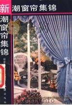 新潮窗帘集锦   1990  PDF电子版封面  7805311005  赵申生，俊人编绘 