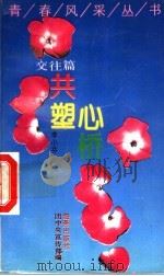 共塑心桥   1993  PDF电子版封面  7535007511  李小芬著；团中央宣传部编 