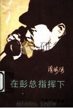 在彭总指挥  （下册）   1984年05月第1版  PDF电子版封面    陈海涵主编 