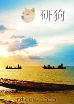 中国外贸发展与改革 第十集（1994年05月第1版 PDF版）