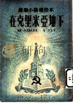 苏联小说通俗本  在克里米亚地下     PDF电子版封面    依万·哥兹洛夫原著；罗焚译；海天改写 