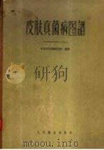 皮肤真菌病图谱   1958  PDF电子版封面  14048·1446  北京皮肤性病研究所编著 