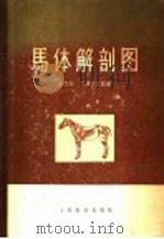 马体解剖图   1961  PDF电子版封面  13010·649  （日）田中宏，（日）大泽竹次郎著；张鹤宇，刘理译 