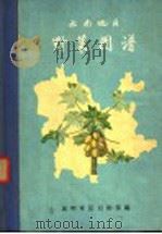 云南地区野菜图谱   1965  PDF电子版封面    昆明军区后勤部编 