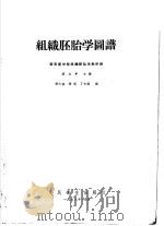 组织胚胎学图谱   1958  PDF电子版封面  14048·1488  蒋加年等编 