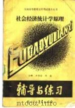 社会经济统计学原理   1989  PDF电子版封面  7810002449  王伯安，刘杨编著 