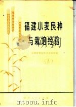 福建小麦良种与栽培经验   1973  PDF电子版封面  16173·21  福建省农业科学实验站编 