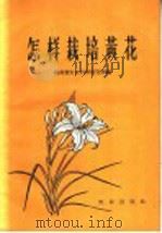 怎样栽培黄花（1959 PDF版）