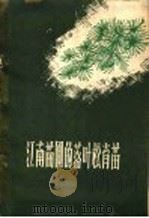 江南苗圃的落叶松育苗   1960  PDF电子版封面  16046·724  张范等编 