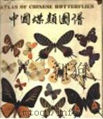 中国蝶类图谱   1992  PDF电子版封面  7805148201  李传隆，朱宝云著 