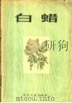 白蜡   1956  PDF电子版封面  T16118·44  四川省林业厅编 