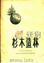杉木造林   1958  PDF电子版封面  16046·465  中华人民共和国林业部，林业科学研究所林木生态研究室著 