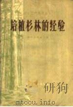 培植杉林的经验   1958  PDF电子版封面  T16115·135  贵州省林业厅编 