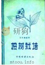 桉树栽培   1960  PDF电子版封面  16046·715  祈述雄编著 