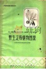 野生淀粉植物图说   1962  PDF电子版封面  16111·132  中国科学院华南植物研究所编 
