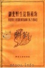 湖北野生淀粉植物   1960  PDF电子版封面  T16106·247  中国科学院武汉植物园编 