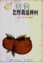 怎样栽培柿树   1957  PDF电子版封面  T16046·237  郑开文等编 