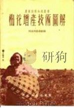 棉花增产技术图解   1955  PDF电子版封面    河北省农林厅编 