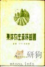 集体农庄森林苗圃   1956  PDF电子版封面  16046·153  （苏联）C.C.李新著；黄若复译 