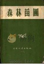 森林苗圃   1956  PDF电子版封面  16046·3688  中华人民共和国林业部造林局编 