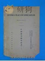 中国蕨类植物图谱  1935年  第3卷（ PDF版）