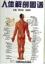 人体解剖图谱  第2版   1999  PDF电子版封面  7530810065  陈仲欣，张殿明主编 