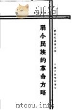 弱小民族的革命方略   1929  PDF电子版封面    柳絮著 