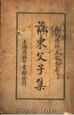 林氏选评名家文集  谯东父子集   1924  PDF电子版封面    林纾 