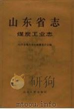 山东省志  第38卷  煤炭工业志  下   1997  PDF电子版封面  7209020748  山东省地方史志编纂委员会 