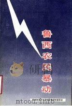 鲁西农民暴动   1988  PDF电子版封面    谢玉琳主编；杨明坤编辑；中共聊城地委党史资料征集研究委员会编 