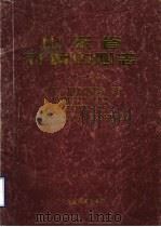 山东省计算中心志  1976-1995（ PDF版）