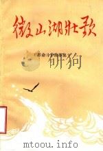 微山湖壮歌  革命斗争故事集（1987 PDF版）