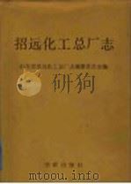招远化工总厂志（1992 PDF版）