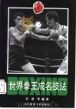 世界拳王成名技法（1995 PDF版）