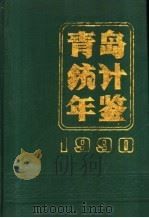 青岛统计年鉴  1990     PDF电子版封面    青岛市统计局编 