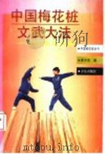 中国梅花桩文武大法  中华武术之魂（1998 PDF版）