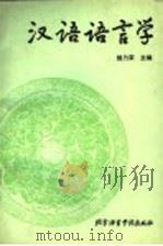 汉语语言学   1995  PDF电子版封面  7561903219  钱乃荣主编 