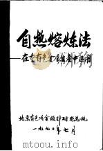 自热熔炼法：在重有色金属生产中运用     PDF电子版封面    北京有色冶金设计研究总院 