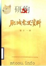 肥城党史资料  第11辑   1993  PDF电子版封面    中共肥城县委党史资料征集研究委员会办公室编 