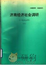 济南经济社会调研  1995年  下     PDF电子版封面    济南市计划委员会编 